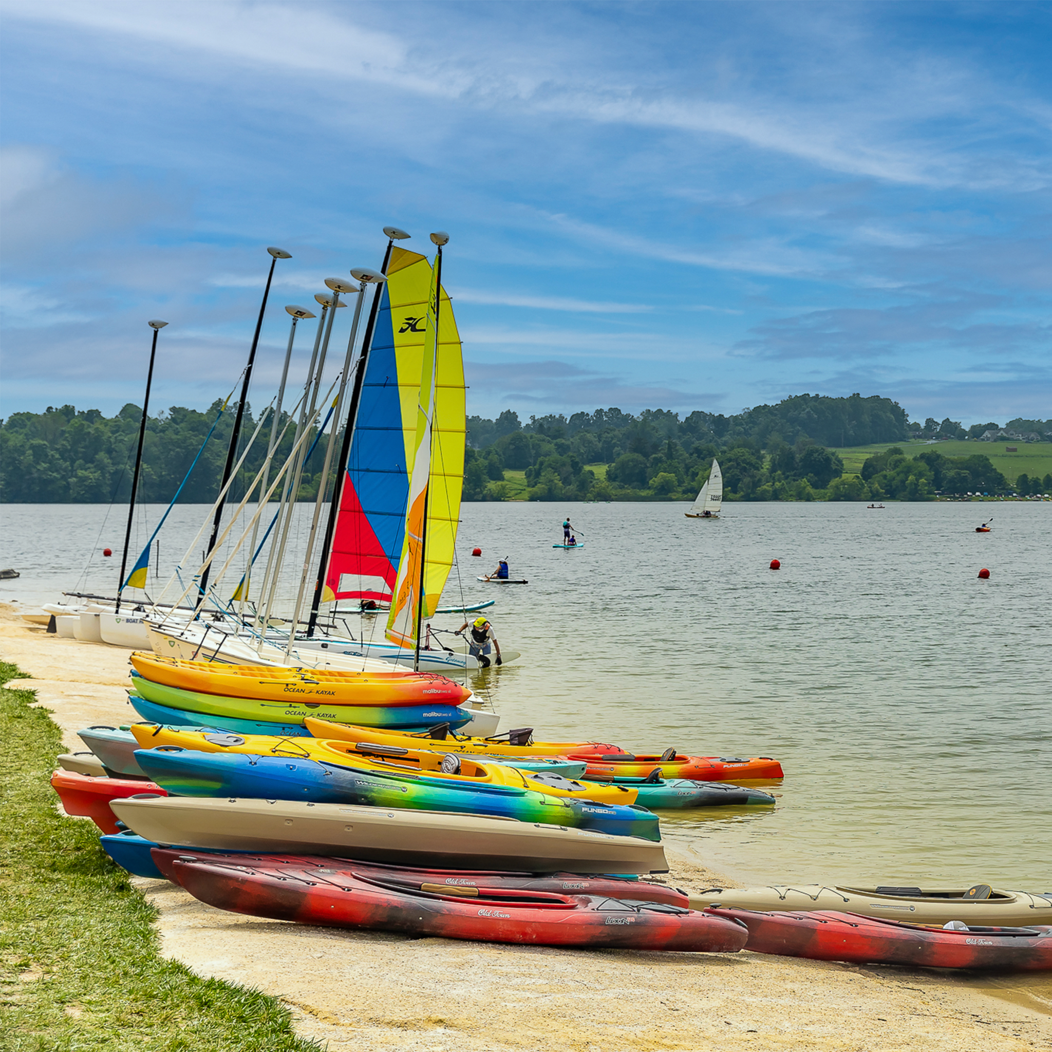 Complemento de pase de temporada de navegación*